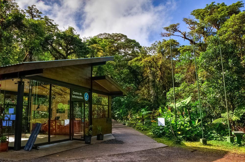 Santa Elena Cloud Forest Reserve (Reserva Bosque Nuboso Santa Elena)