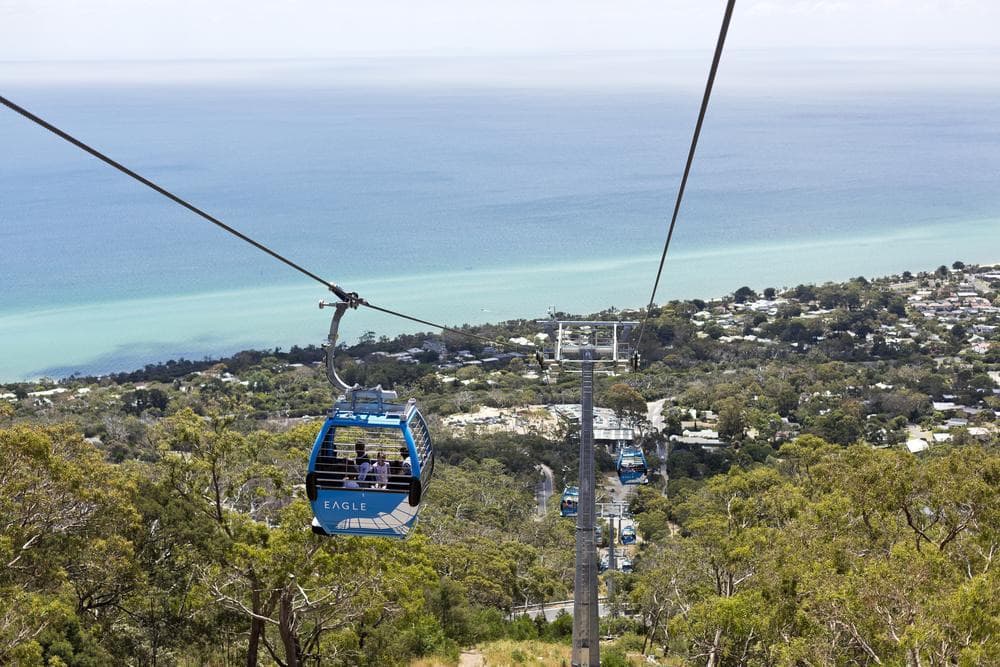 Arthurs Seat Eagle