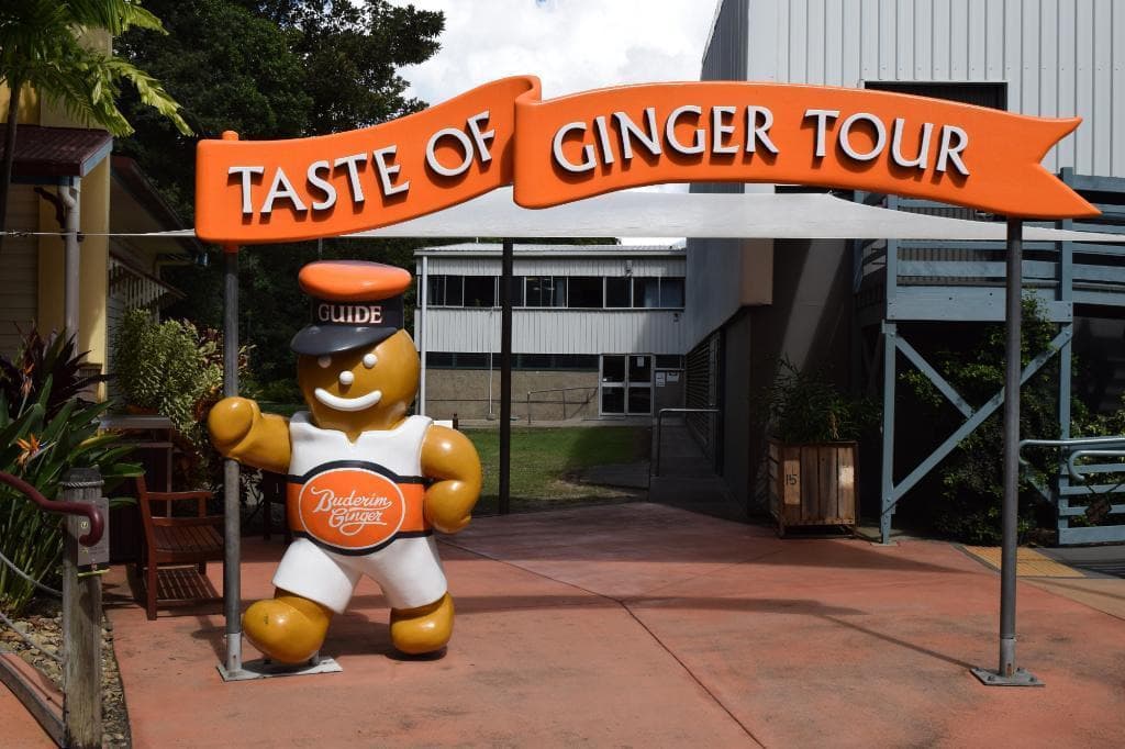 The Ginger Factory