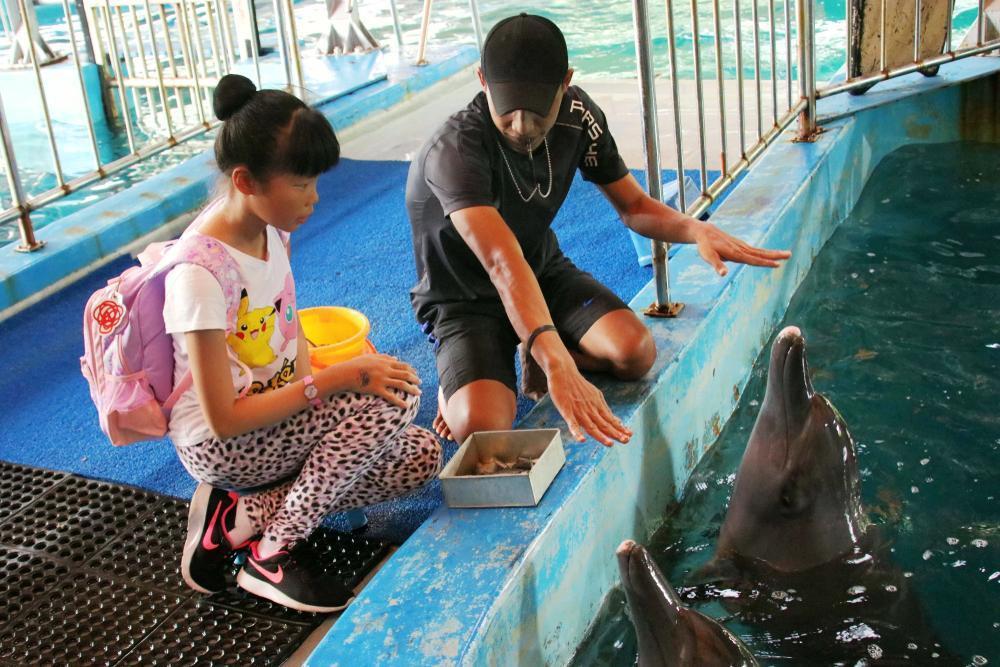 Ancol Ocean Dream Samudra