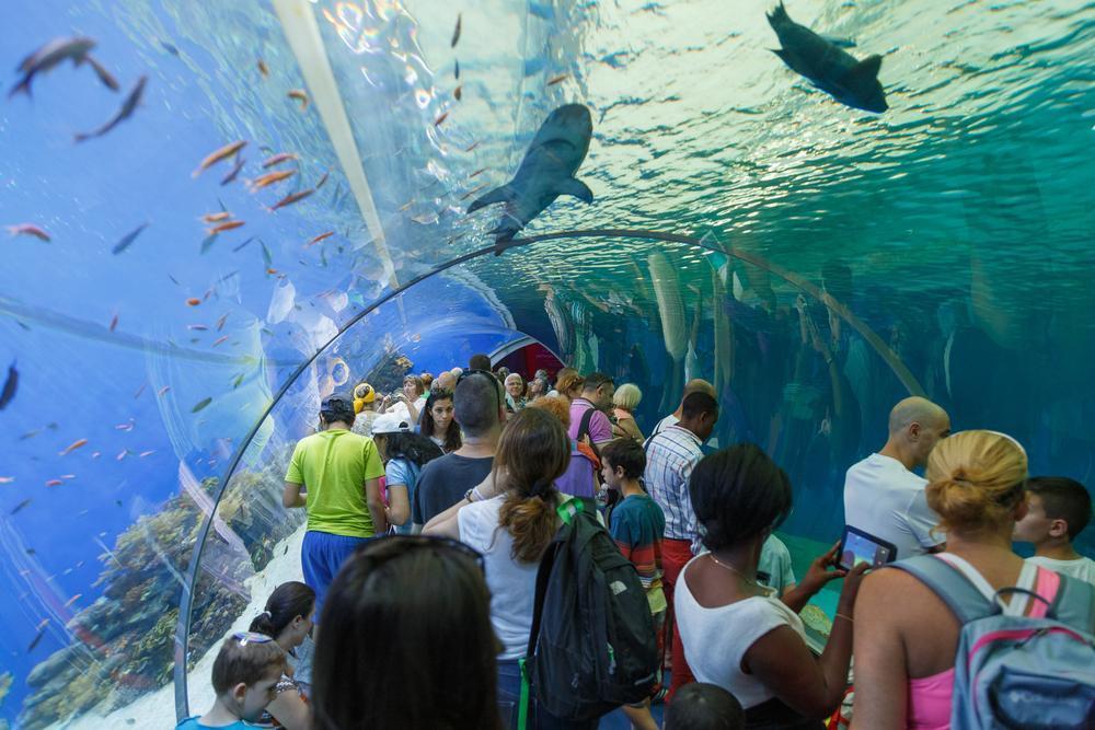 Underwater Observatory Marine Park