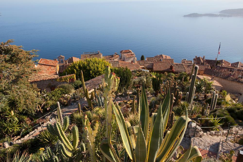 Exotic Garden of Èze (Jardin Exotique d’Èze)