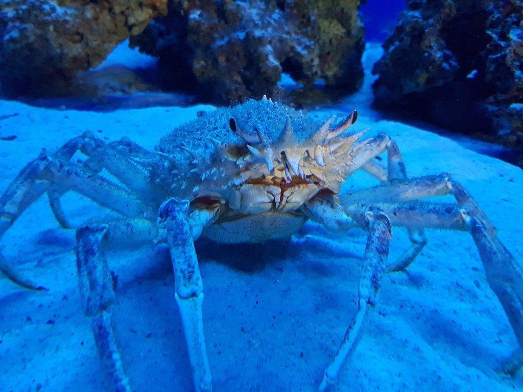 Cala Gonone Acquarium (Acquario Cala Gonone)