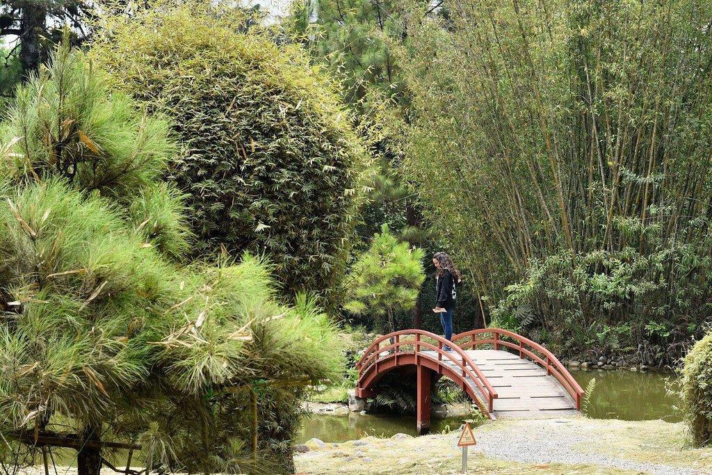 Lankester Botanical Garden (Jardin Botanico Lankester)