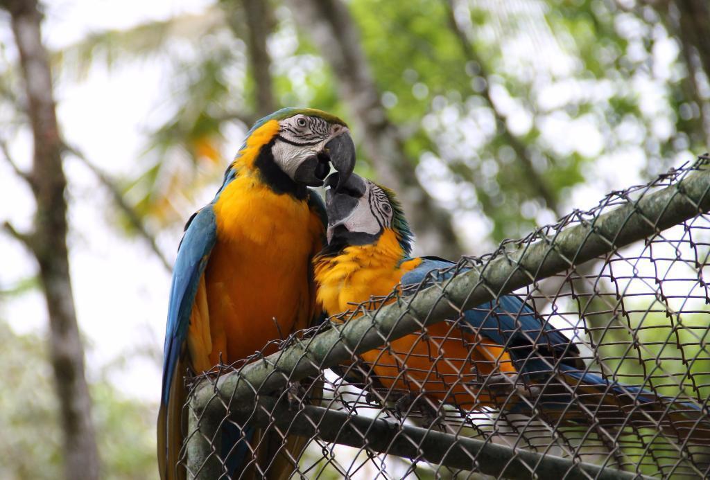 Brusque Zoo Botanical Park (Parque Zoobotanico de Brusque)