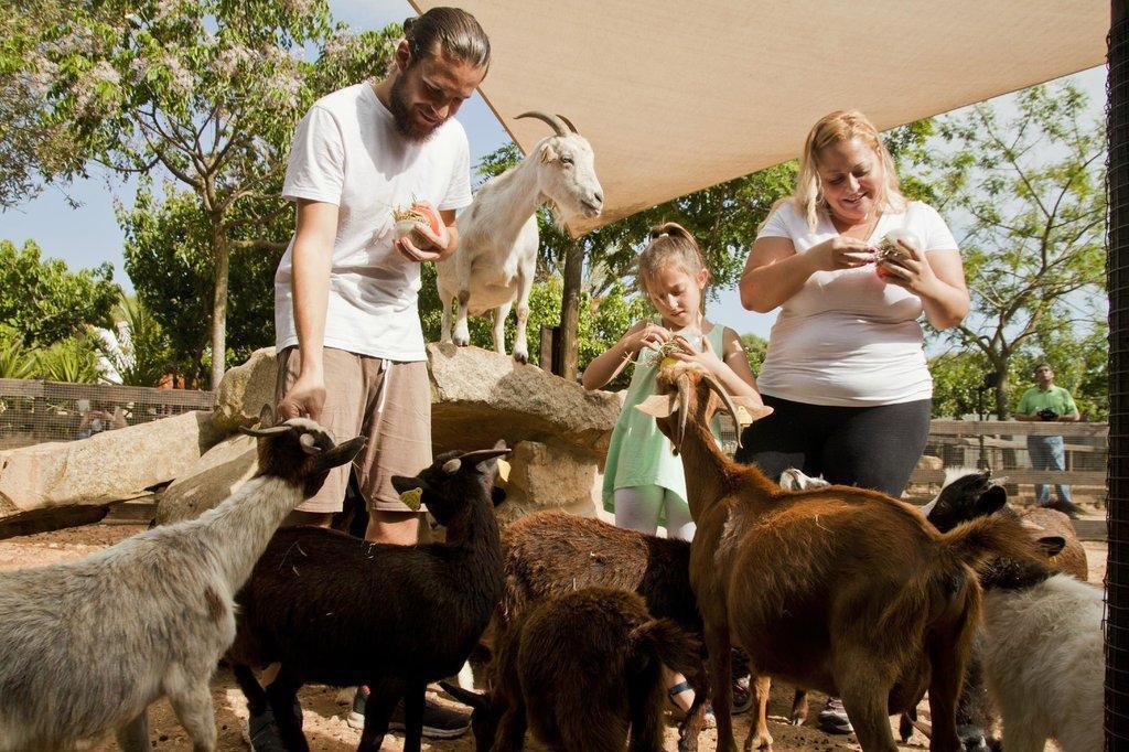 Menorca Zoo (Centre Zoologic Lloc De Menorca)