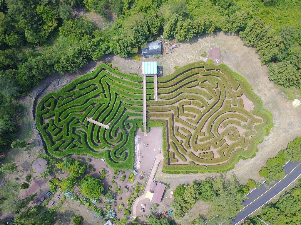 Jeju Kimnyoung Maze Park