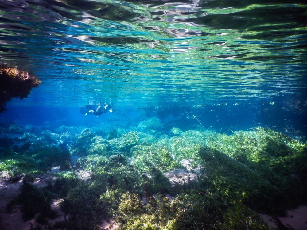 Mysterious Lagoon (Lagoa Misteriosa)