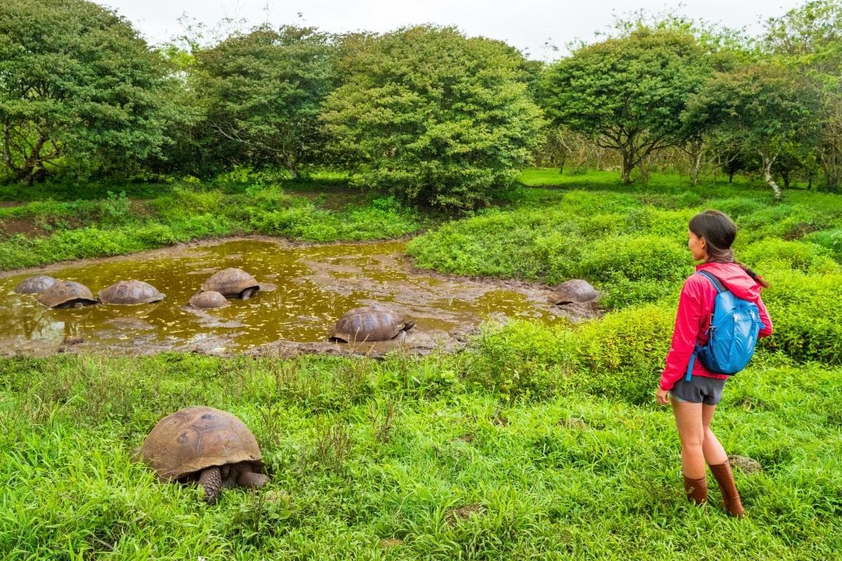 Schildkrötenreservat El Chato