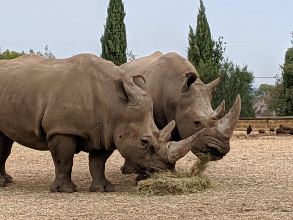 La Barben Zoo (Zoo de la Barben)