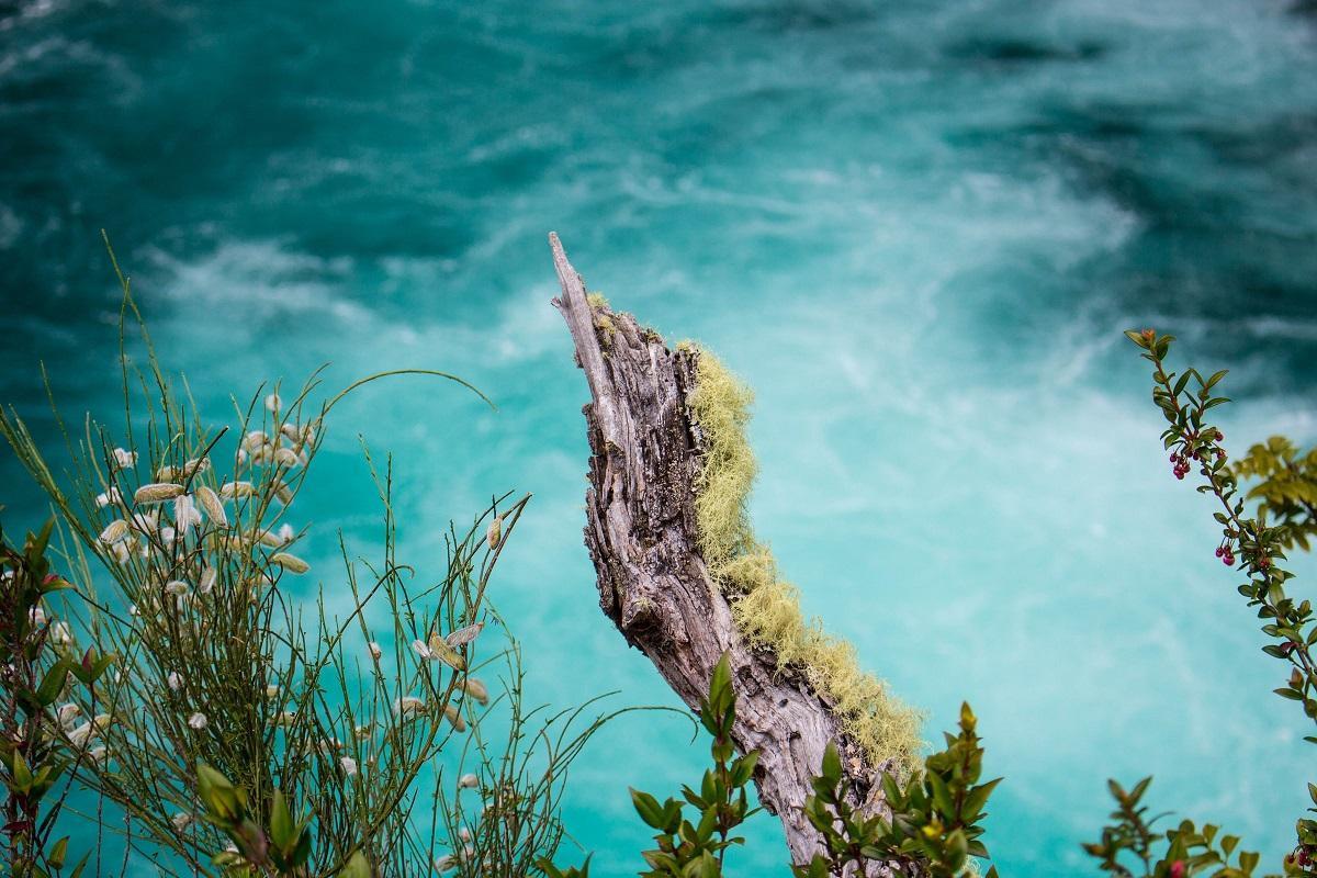 Vicente Pérez Rosales National Park