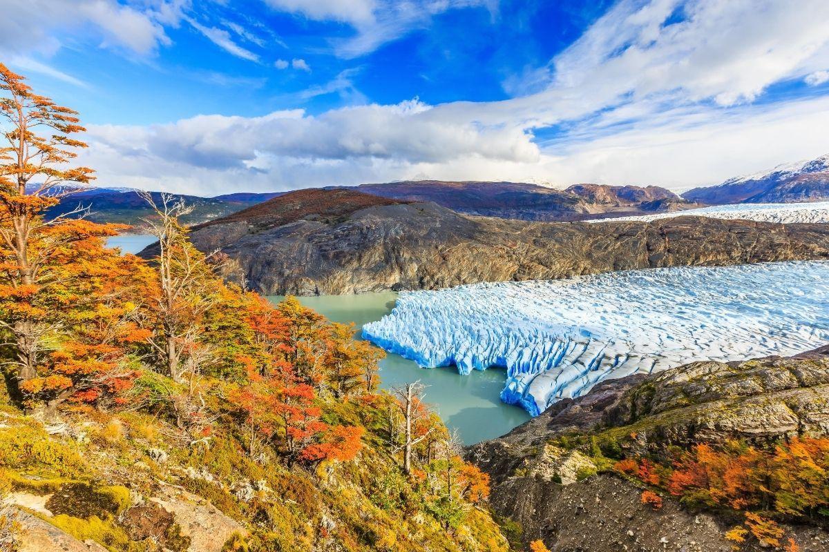 Grey Glacier