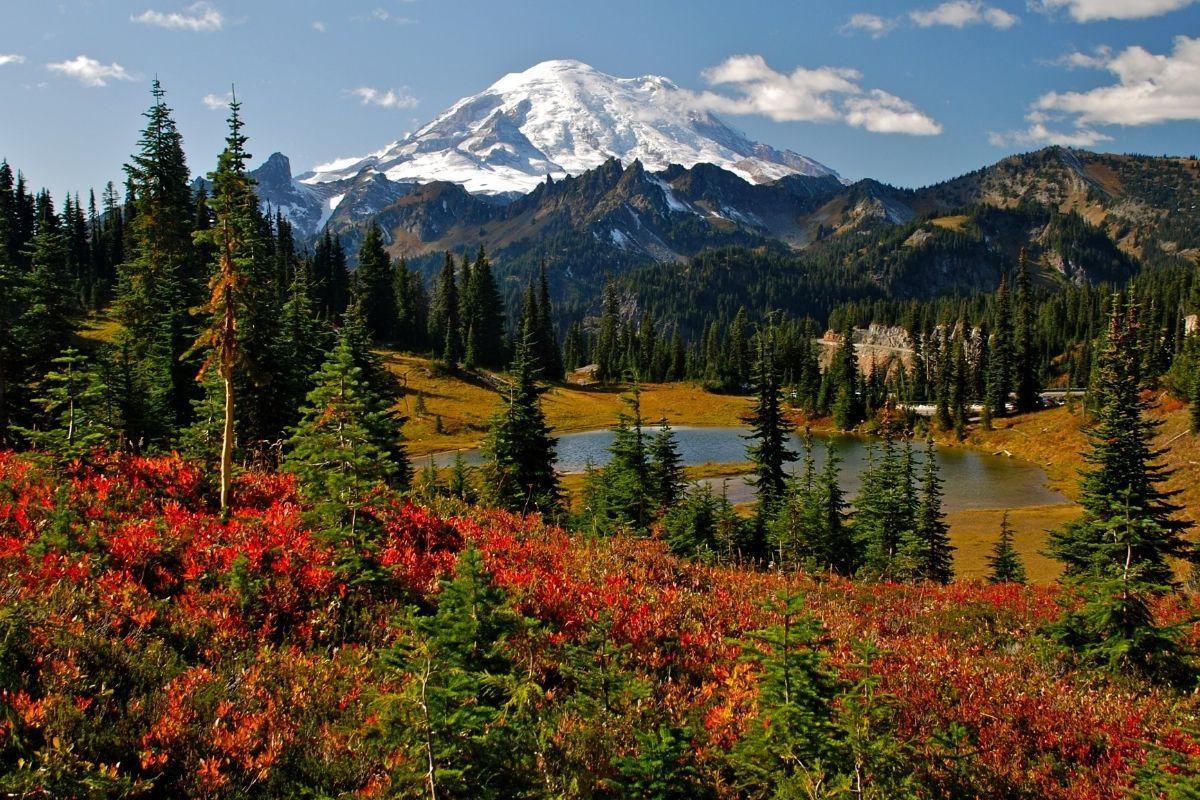 Mt. Rainier National Park