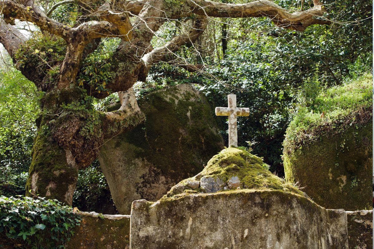 Convent of the Capuchos