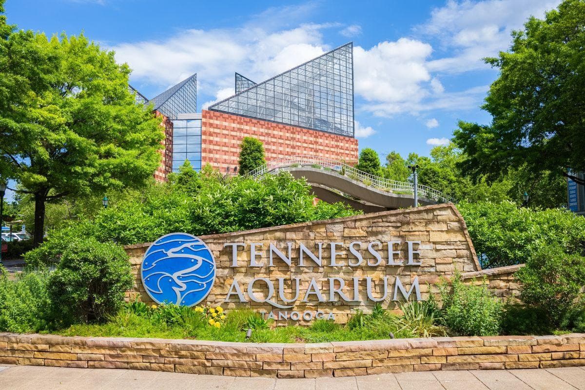 Tennessee Aquarium