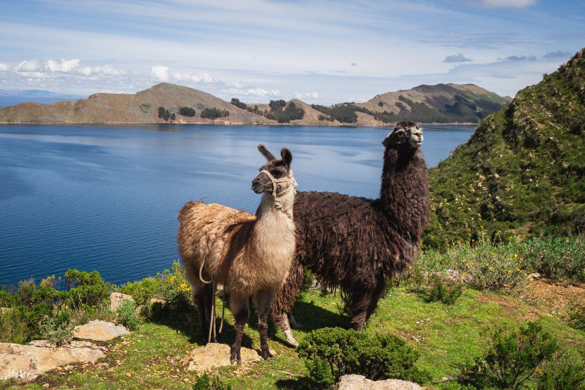 Lake Titicaca