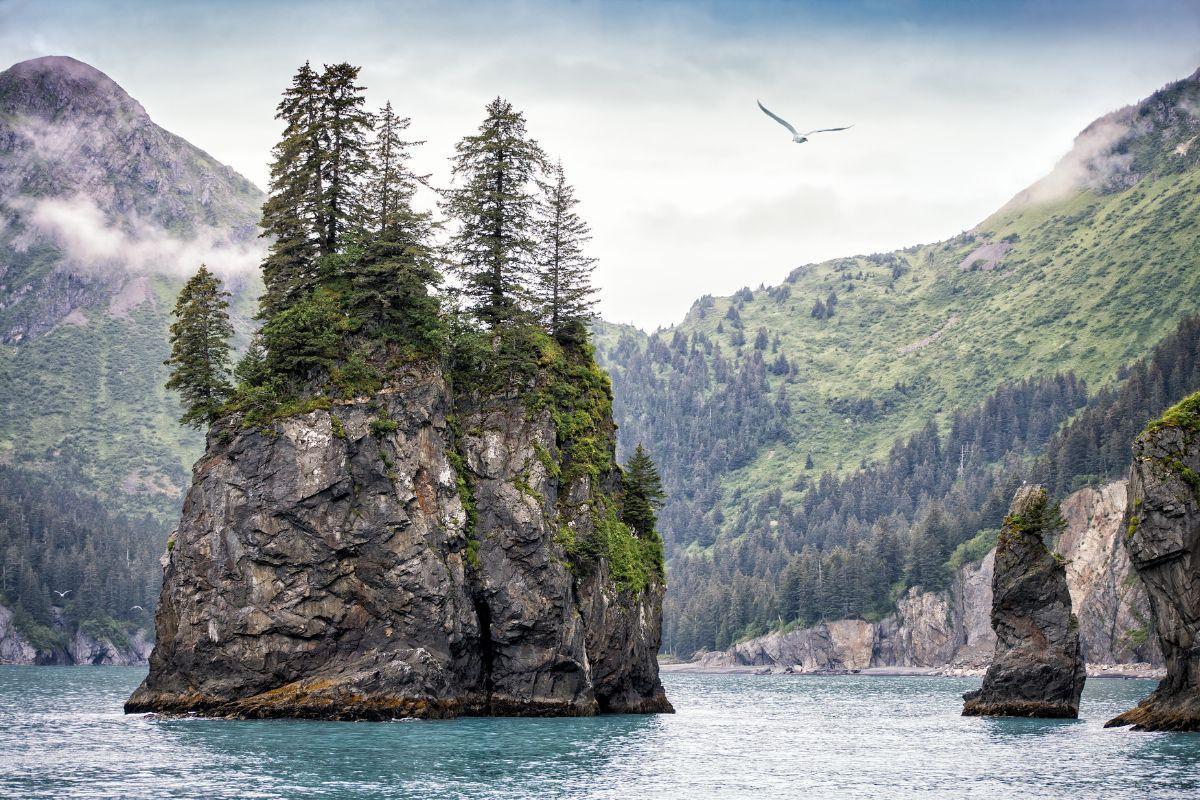 Kenai Fjords National Park