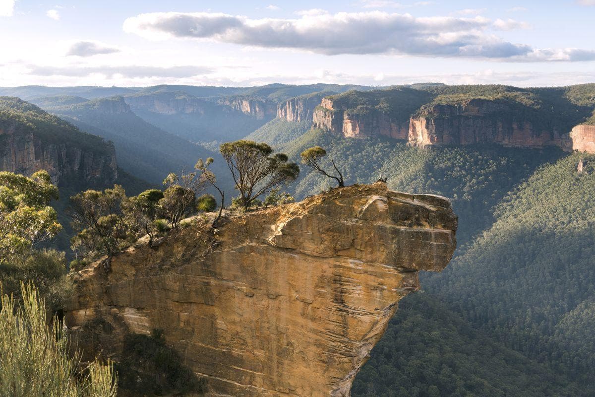 Blue Mountains National Park