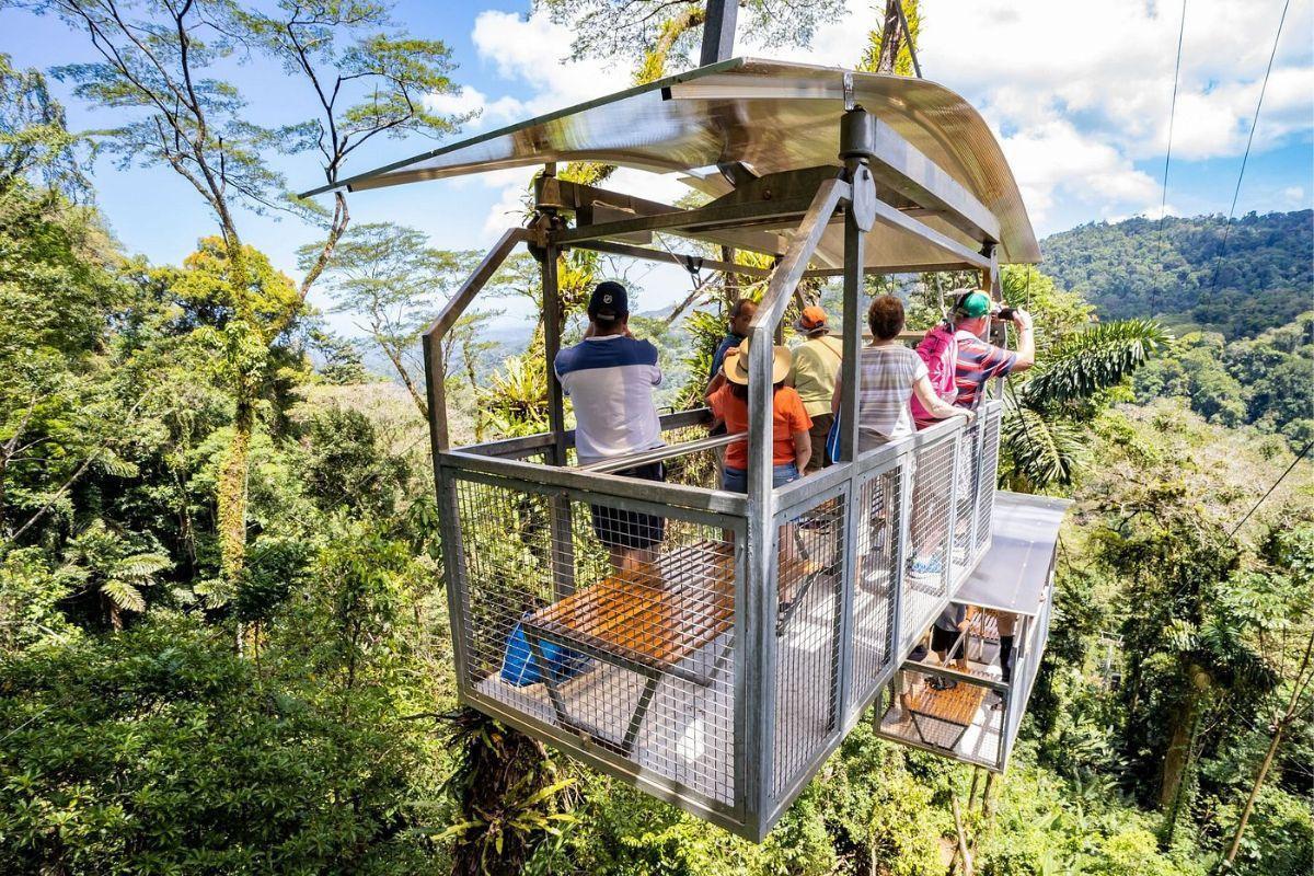 Veragua Rainforest