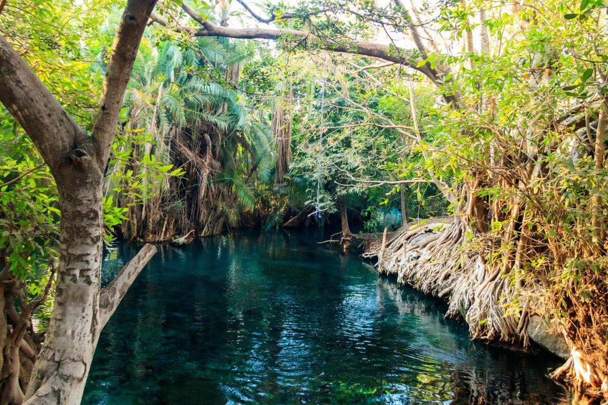 Kikuletwa Hot Springs (Chemka Hot Springs)