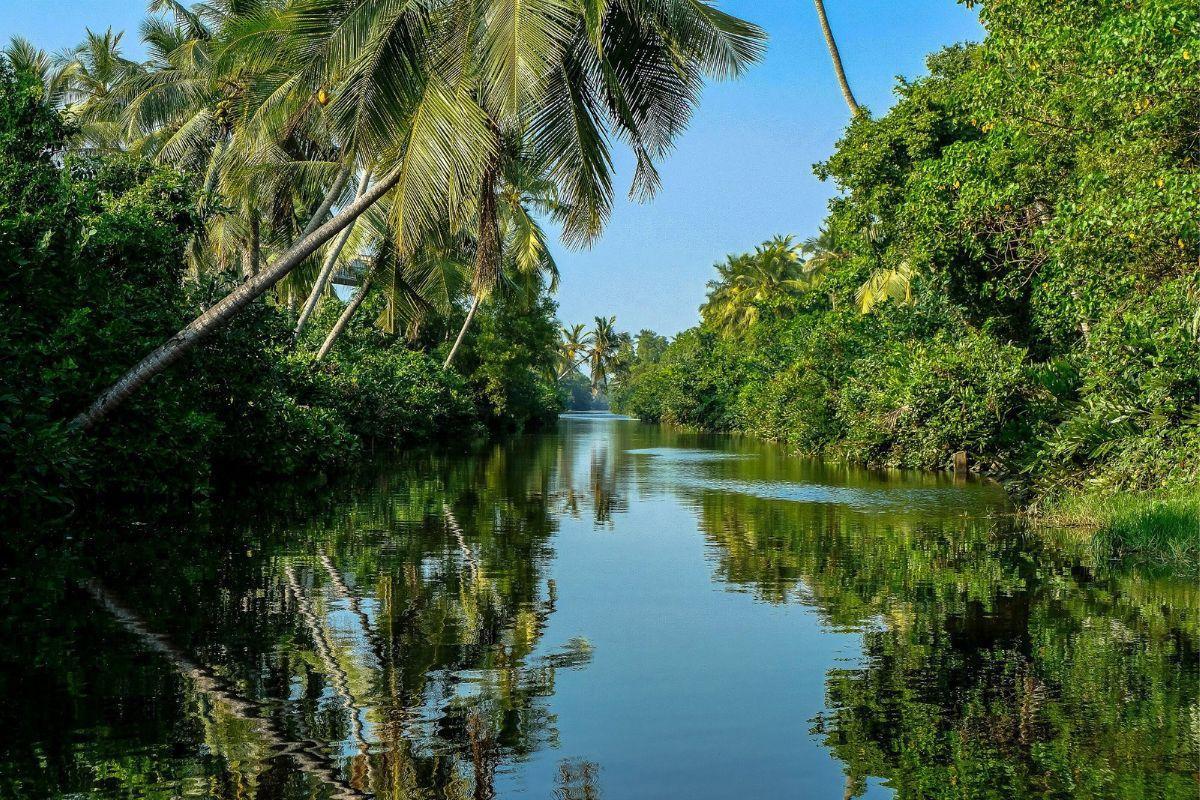 Muthurajawela Marsh