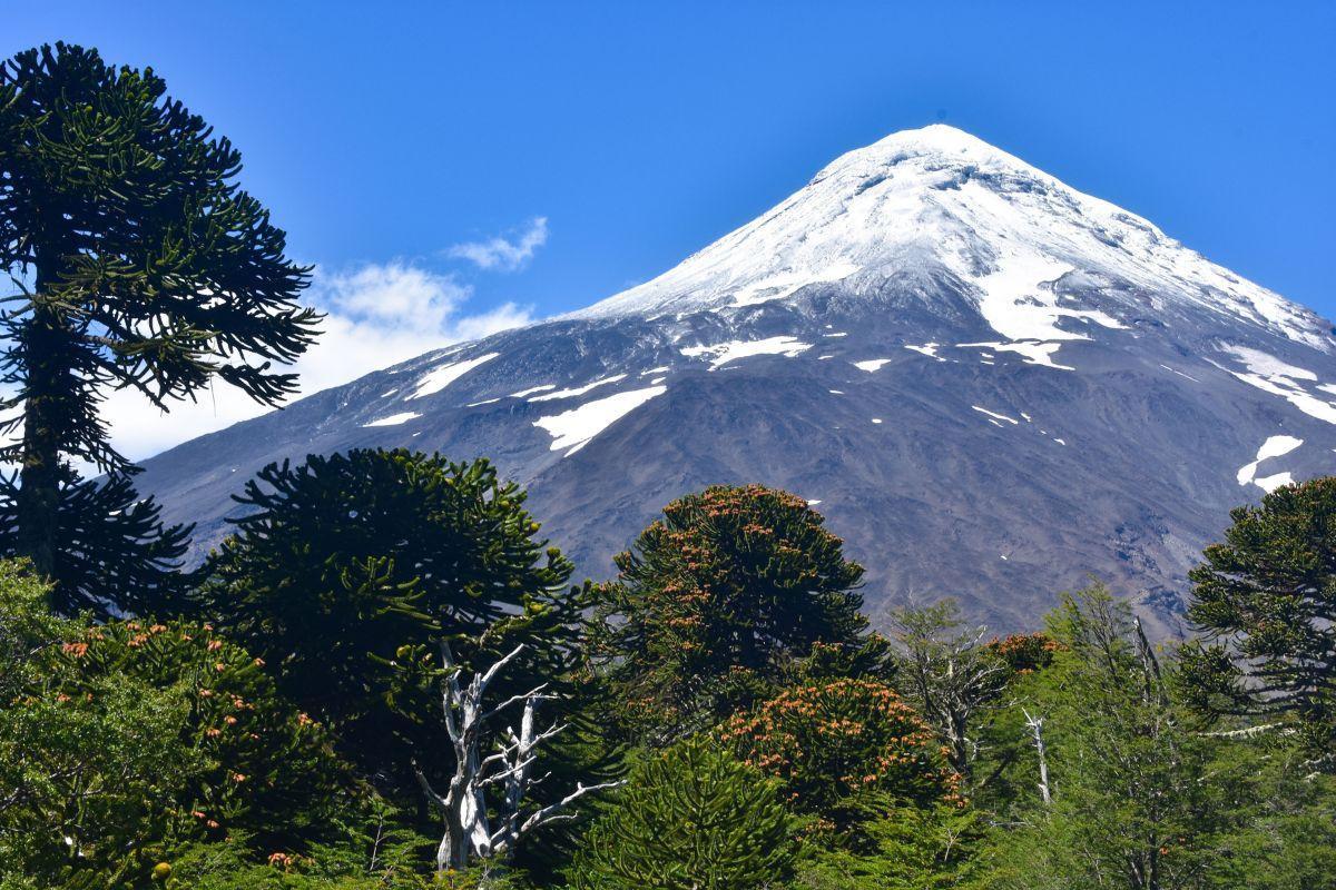 Villarrica National Park