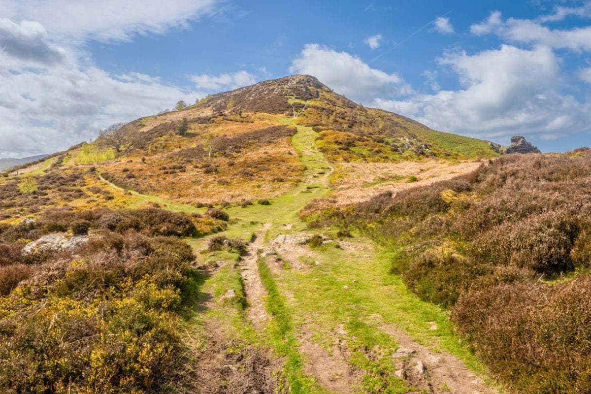 Conwy Mountain (Mynydd y Dref)