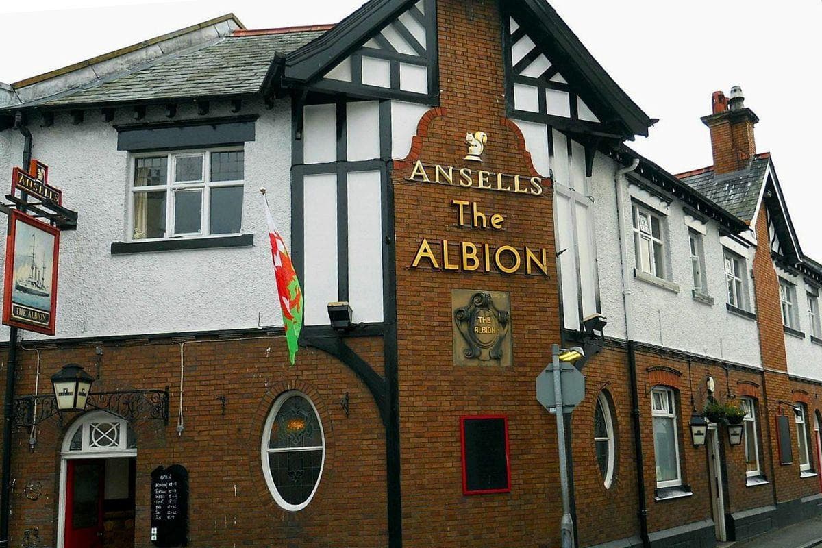 Albion Ale House