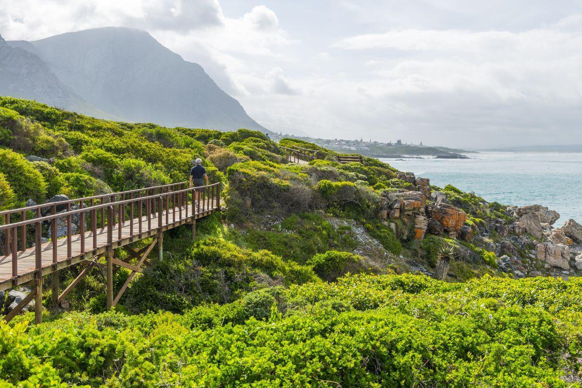 Hermanus Cliff Path