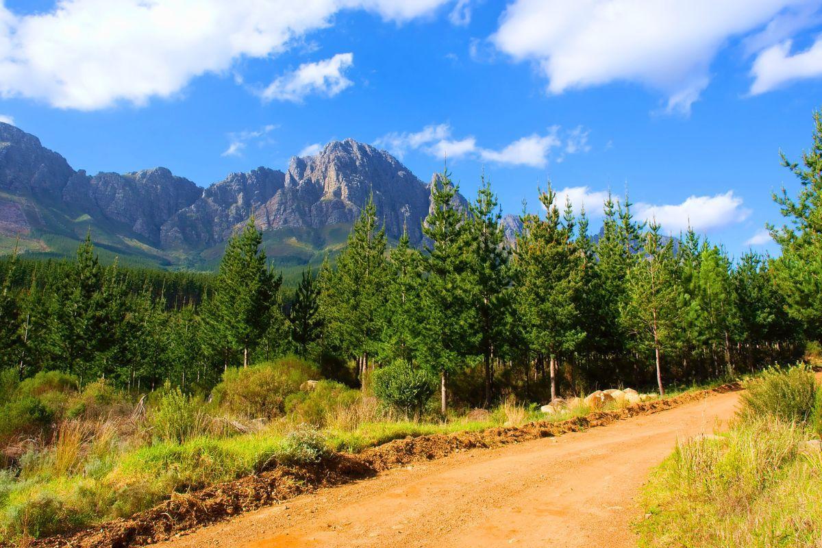 Jonkershoek Nature Reserve