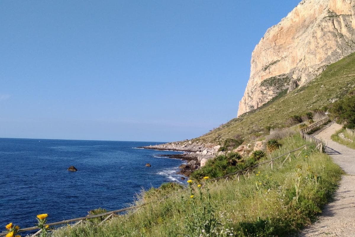 Capo Gallo-orientiertes Naturschutzgebiet