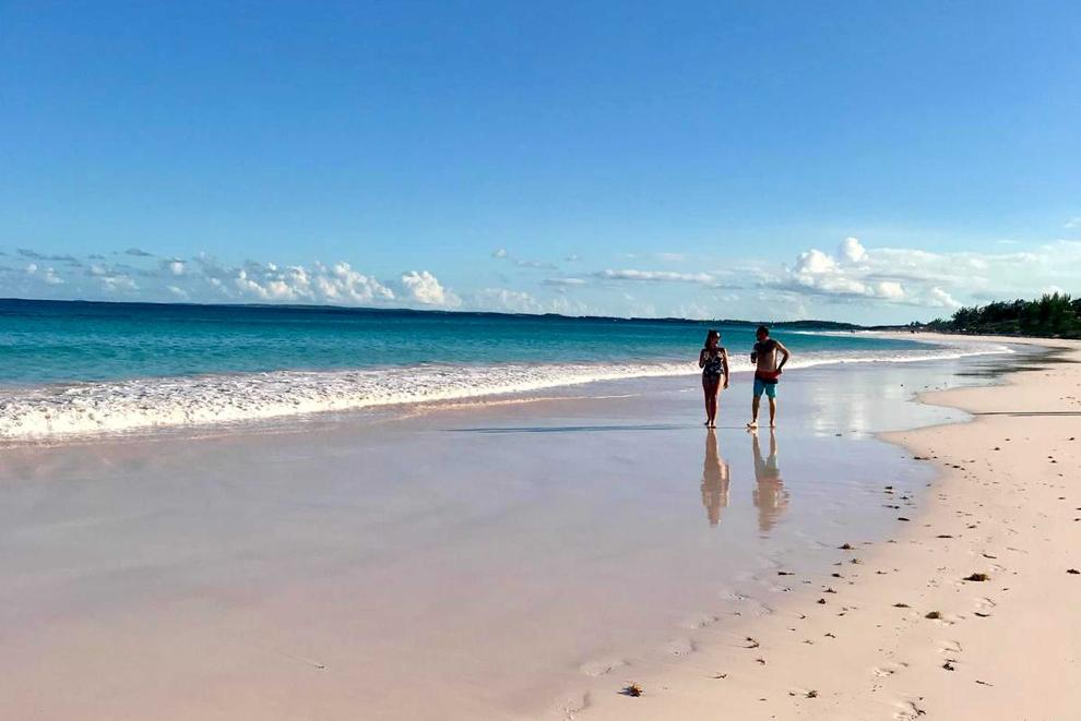 Eleuthera Pink Sands Experience and Swimming Pigs