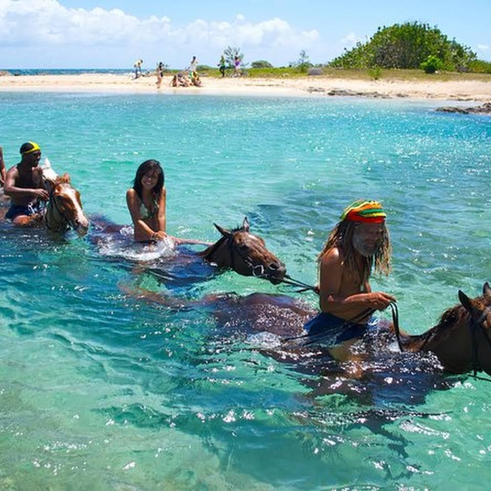 Experience horseback riding through Jamaican waters