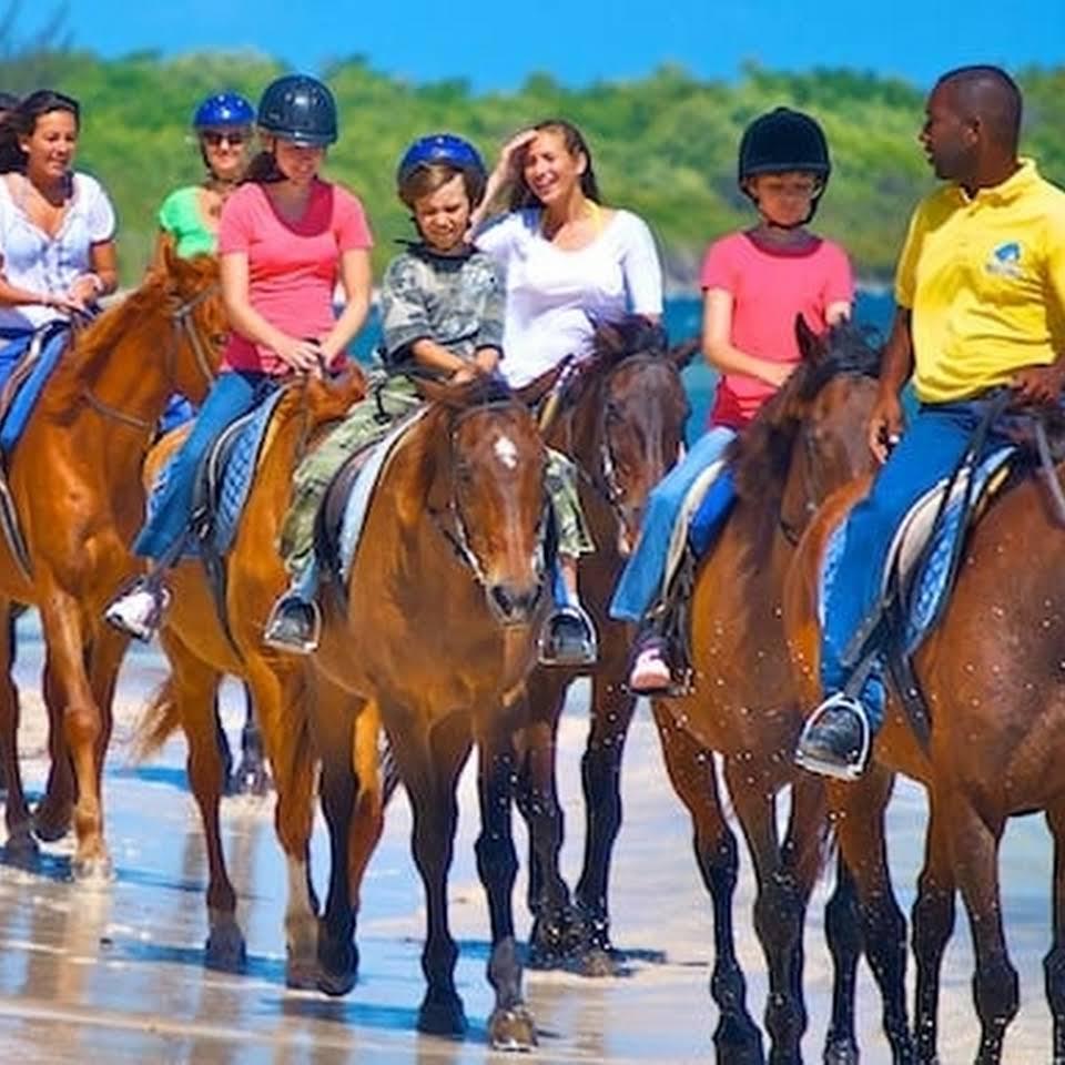 Ride a Jamaican horse through the Caribbean